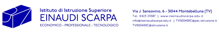 Logo ufficiale di IIS Einaudi-Scarpa